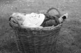 /album/fotogalerie-babys-/bild-002a-jpg/